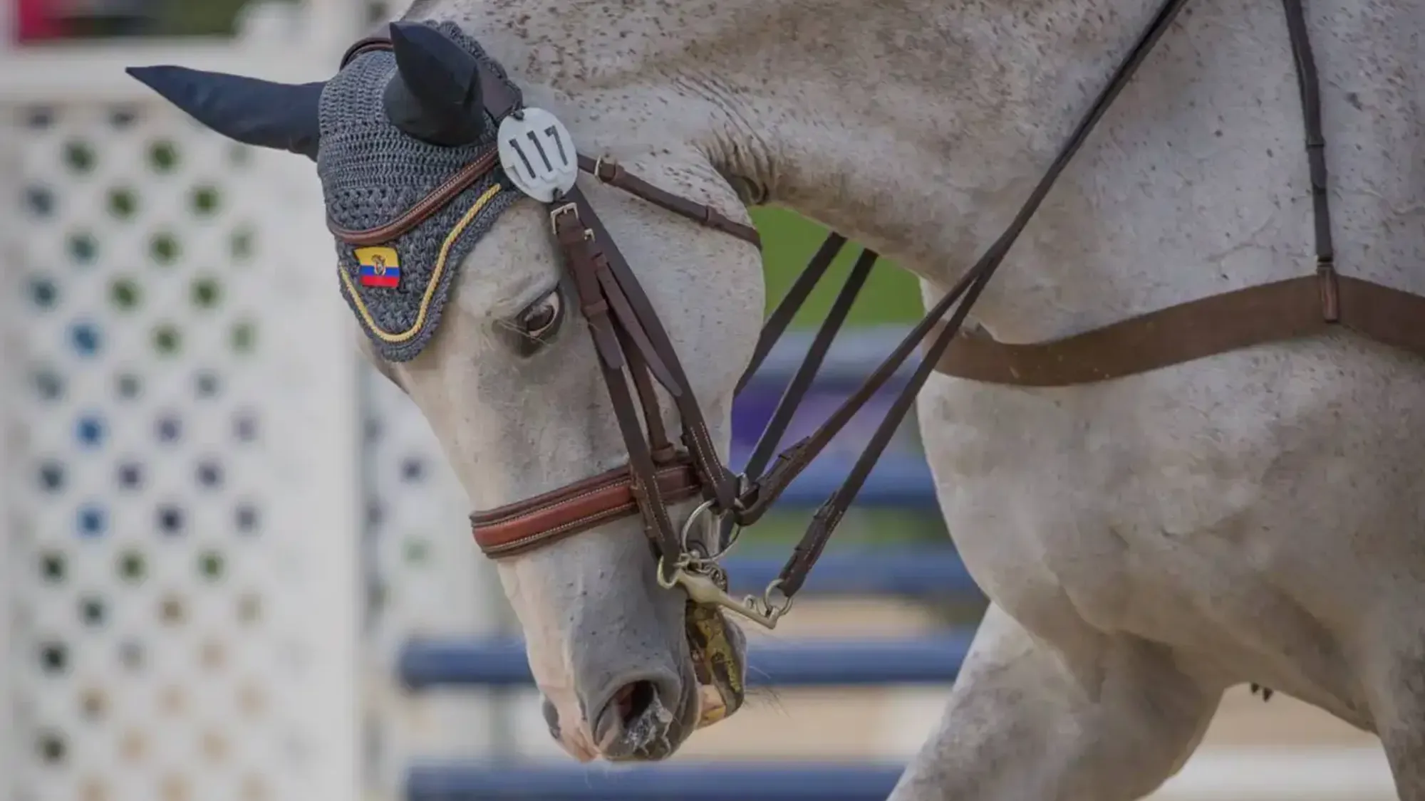 Equissima Lausanne Zfyewn