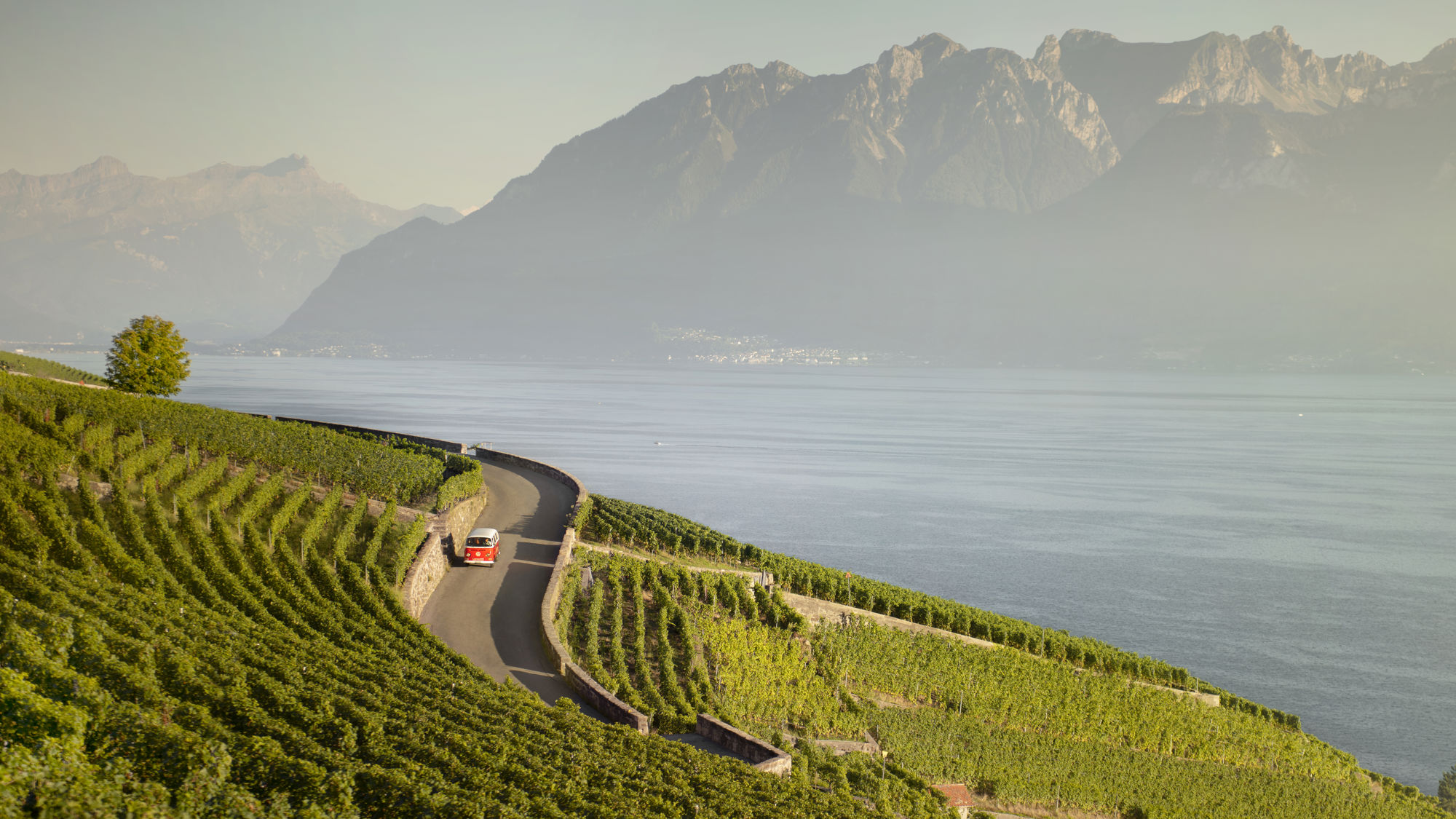balade-lavaux-bus-vintage-01.jpg