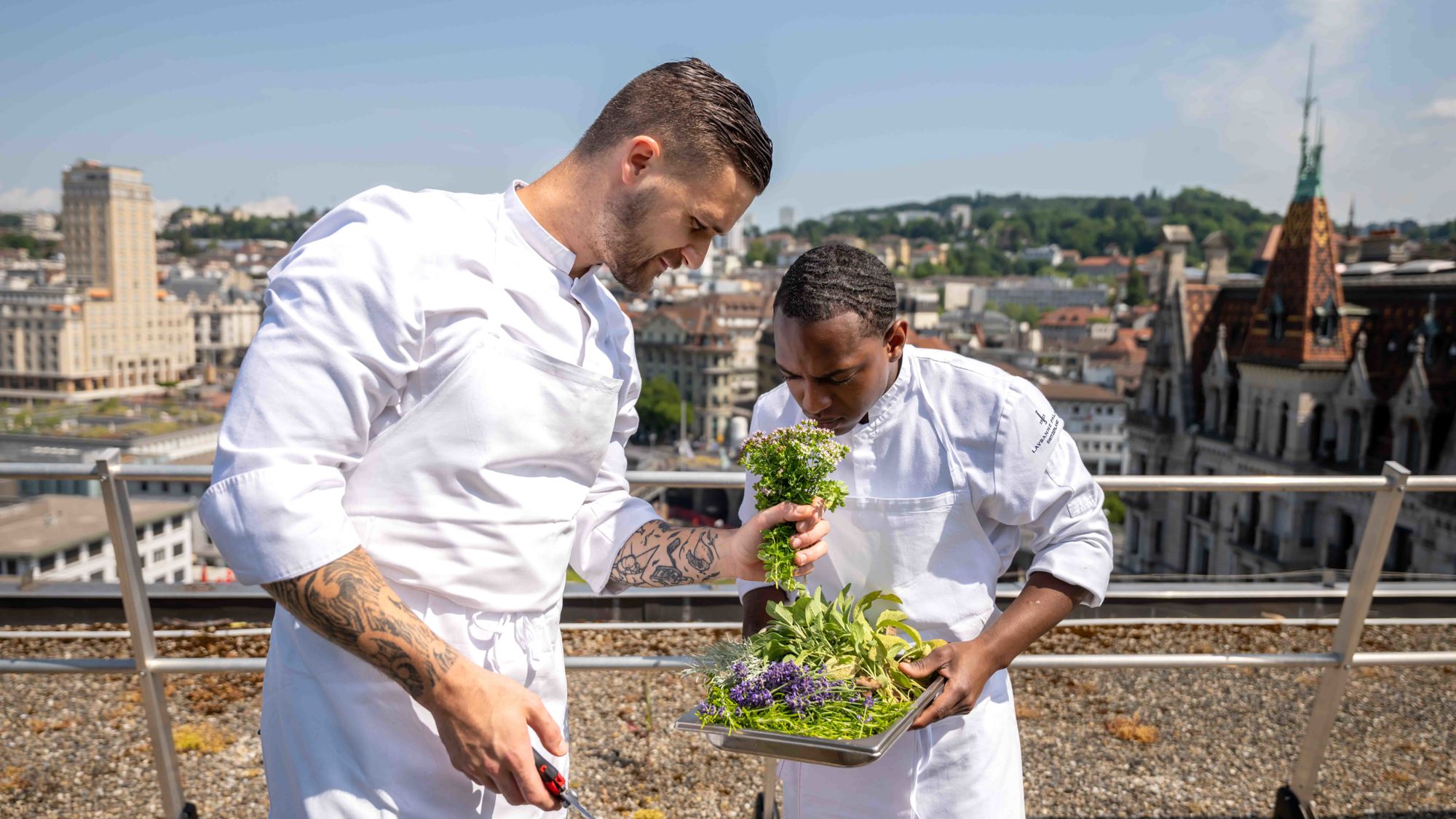 lausanne-palace-la-table-potager-plantes-aromatiques-01.jpeg